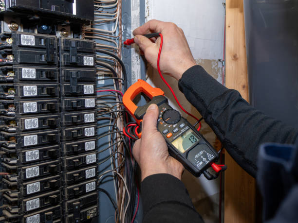 Best Electric Panel Repair  in Ranlo, NC